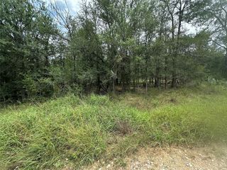 187 Puu Waa Waa LN, Bastrop, TX 78602