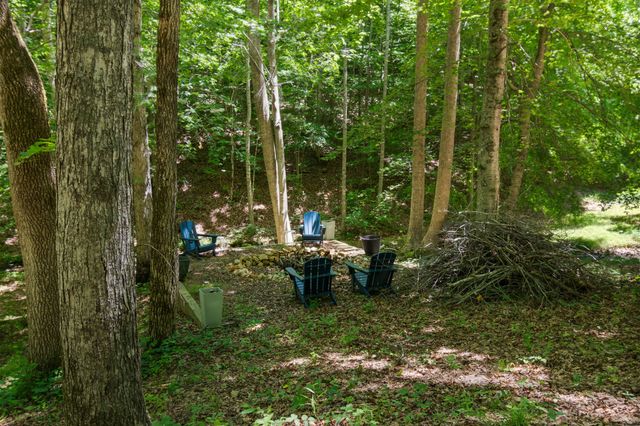 7855 Barnhill Rd, Primm Springs, TN 38476