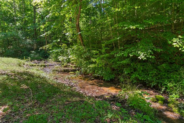 7855 Barnhill Rd, Primm Springs, TN 38476