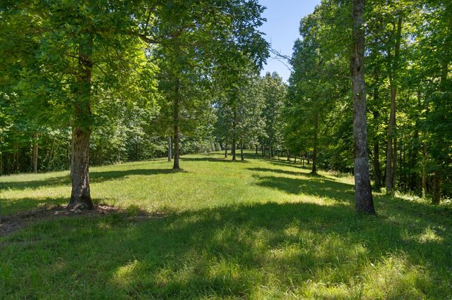 7855 Barnhill Rd, Primm Springs, TN 38476