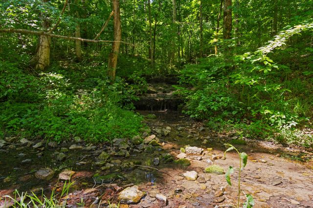 7855 Barnhill Rd, Primm Springs, TN 38476