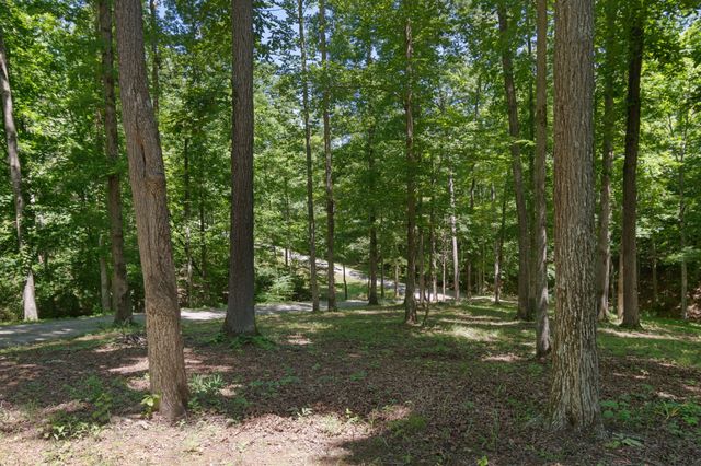 7855 Barnhill Rd, Primm Springs, TN 38476