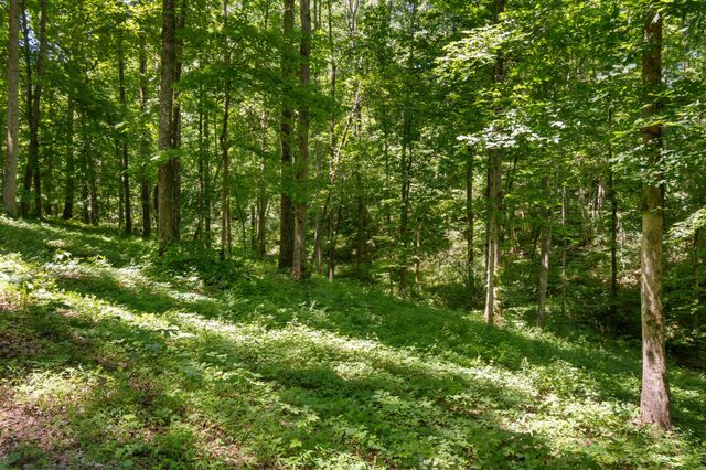 7855 Barnhill Rd, Primm Springs, TN 38476