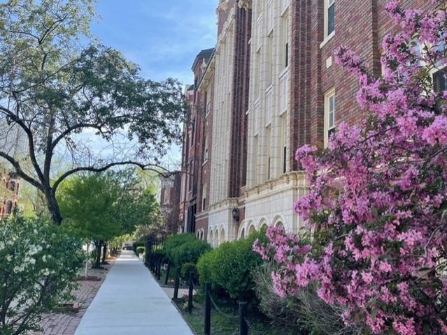 1824 N Lincoln Park West 310, Chicago, IL 60614