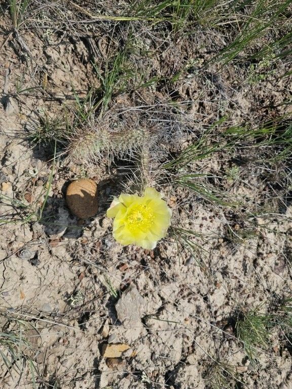 2627 Elk Creek Road, Winnett, MT 59087 photo 11