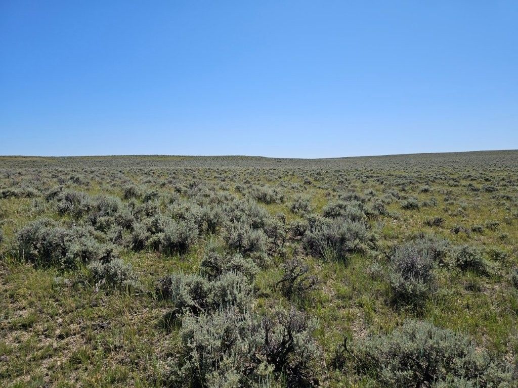 2627 Elk Creek Road, Winnett, MT 59087 photo 14