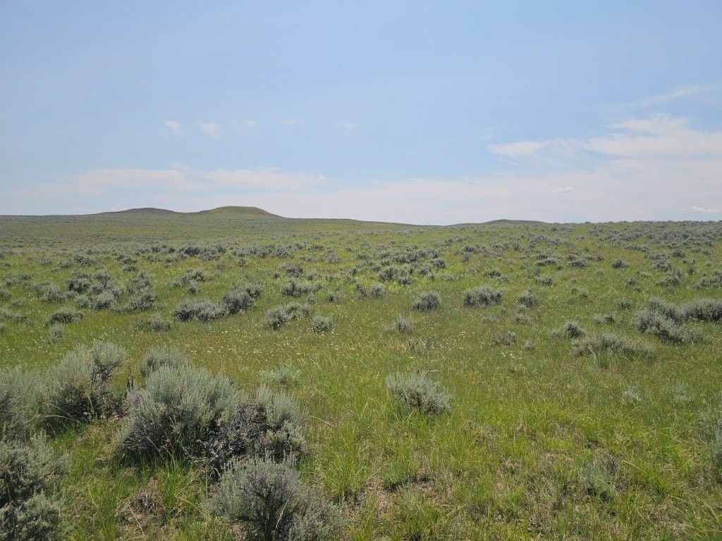 2627 Elk Creek Road, Winnett, MT 59087 photo 2