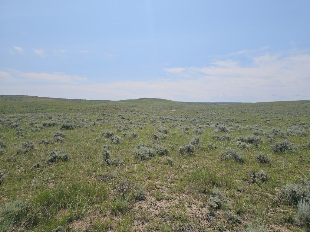 2627 Elk Creek Road, Winnett, MT 59087 photo 5