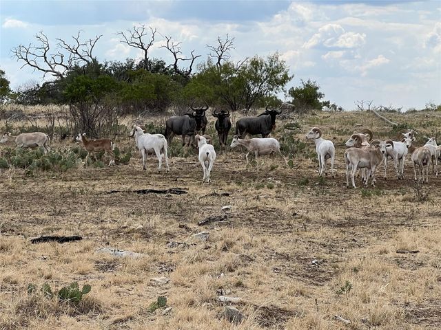 Lot 74 TBD Cavalier Road, Strawn, TX 76475