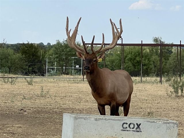 Lot 74 TBD Cavalier Road, Strawn, TX 76475