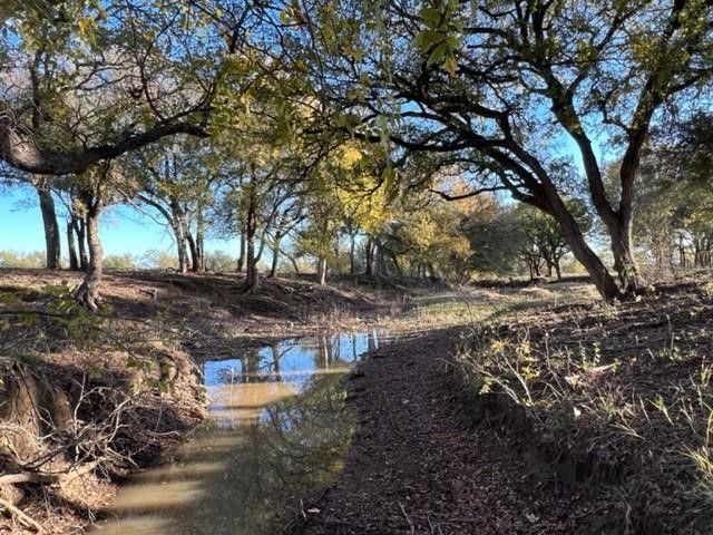 Lot 74 TBD Cavalier Road, Strawn, TX 76475