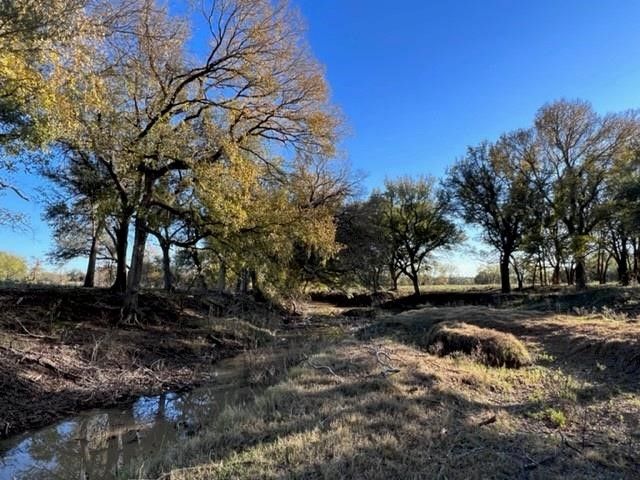 Lot 74 TBD Cavalier Road, Strawn, TX 76475