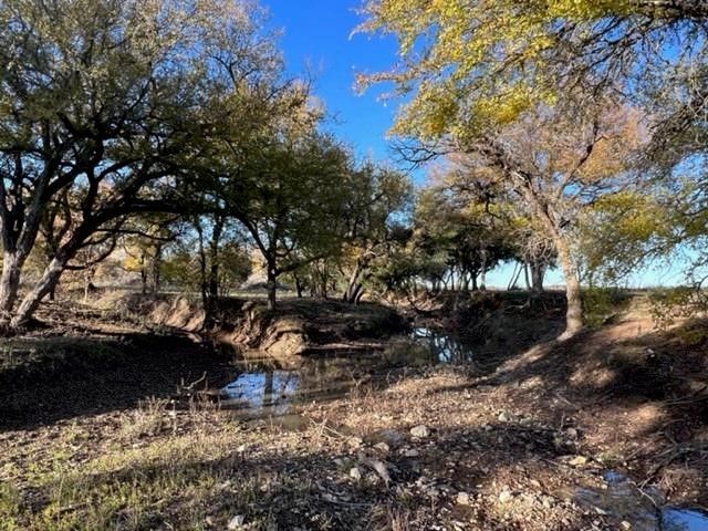 Lot 74 TBD Cavalier Road, Strawn, TX 76475