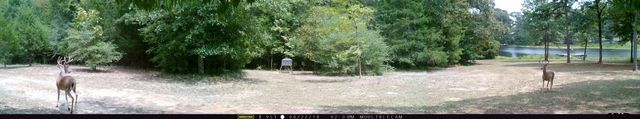 4883 FM 2423, Grapeland, TX 75844