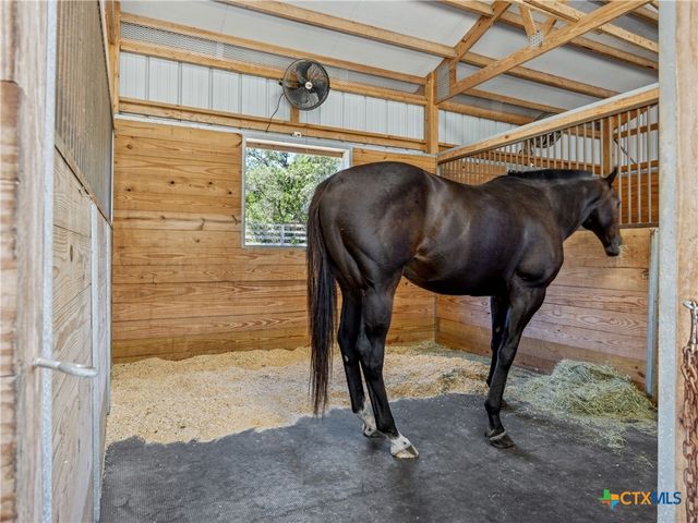 751 Shearer Road, Bulverde, TX 78163