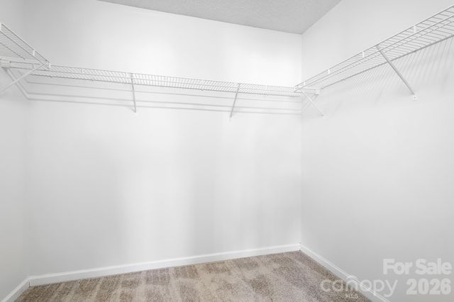 6602 Forest Cross Drive, Charlotte, NC 28216