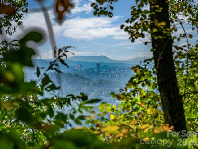 10 Beaverbrook Court, Asheville, NC 28804
