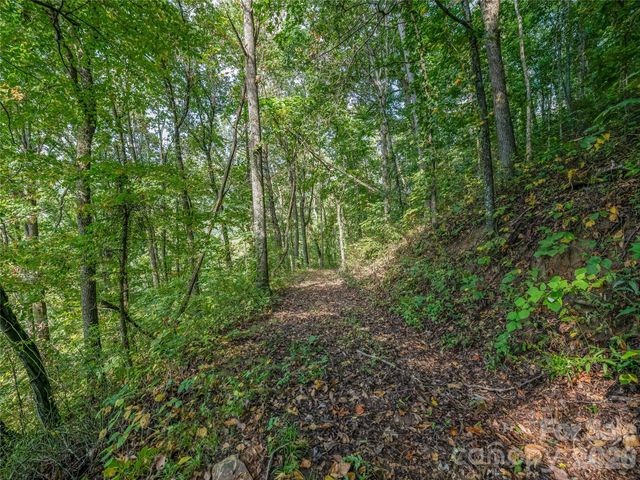 10 Beaverbrook Court, Asheville, NC 28804