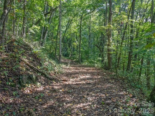 10 Beaverbrook Court, Asheville, NC 28804