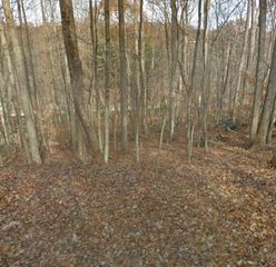 Lot 90 Lakeshore Terrace RD, Hardy, VA 24101