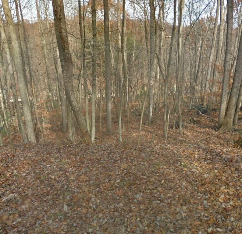 Lot 90 Lakeshore Terrace RD, Hardy, VA 24101