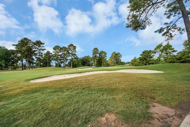 8926 Leaning Hollow Lane, Spring, TX 77379