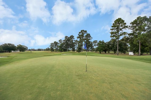 8926 Leaning Hollow Lane, Spring, TX 77379