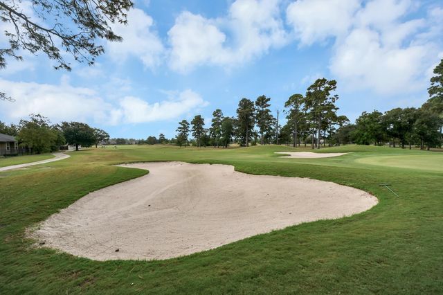 8926 Leaning Hollow Lane, Spring, TX 77379