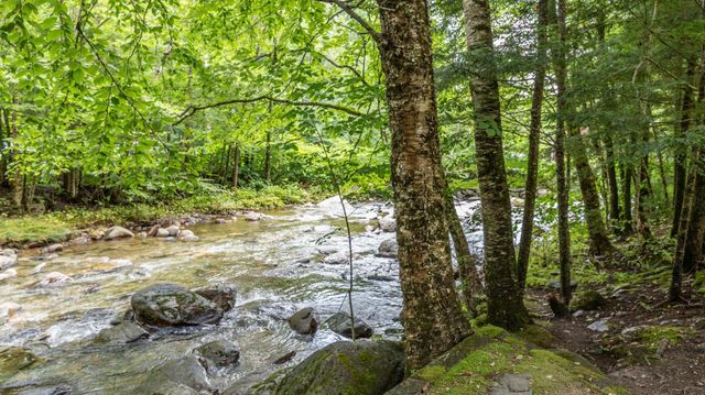 56 Turner Mill Lane, Stowe, VT 05672