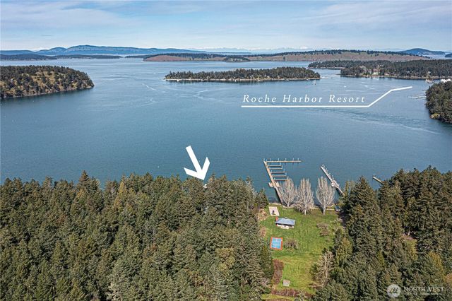 1 & 2 Driftwood Shores, Henry Island, WA 98250