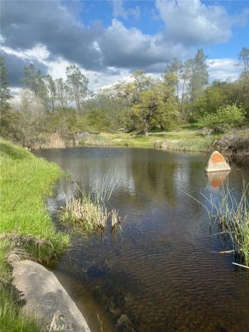 40461 Long Hollow Drive, Coarsegold, CA 93614