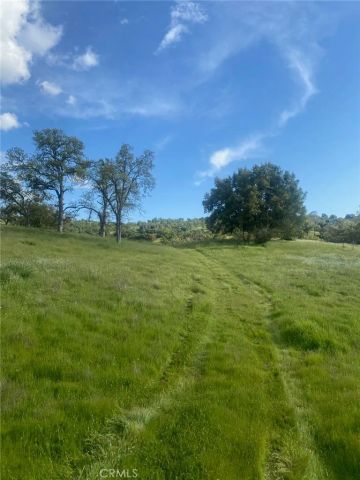 40461 Long Hollow Drive, Coarsegold, CA 93614