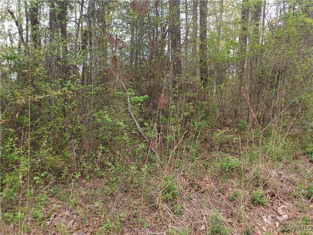 12332 E Booker Blvd, Chester, VA 23831