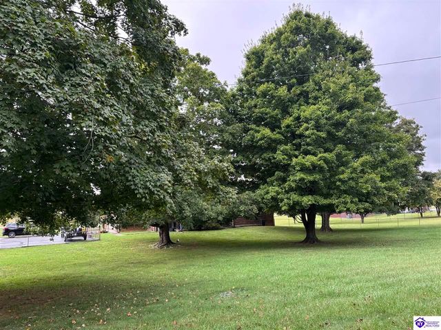 3350 Knox Avenue, Vine Grove, KY 40175