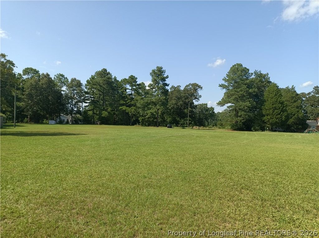 112 Lakeview Drive, Red Springs, NC 28377 — photo 2