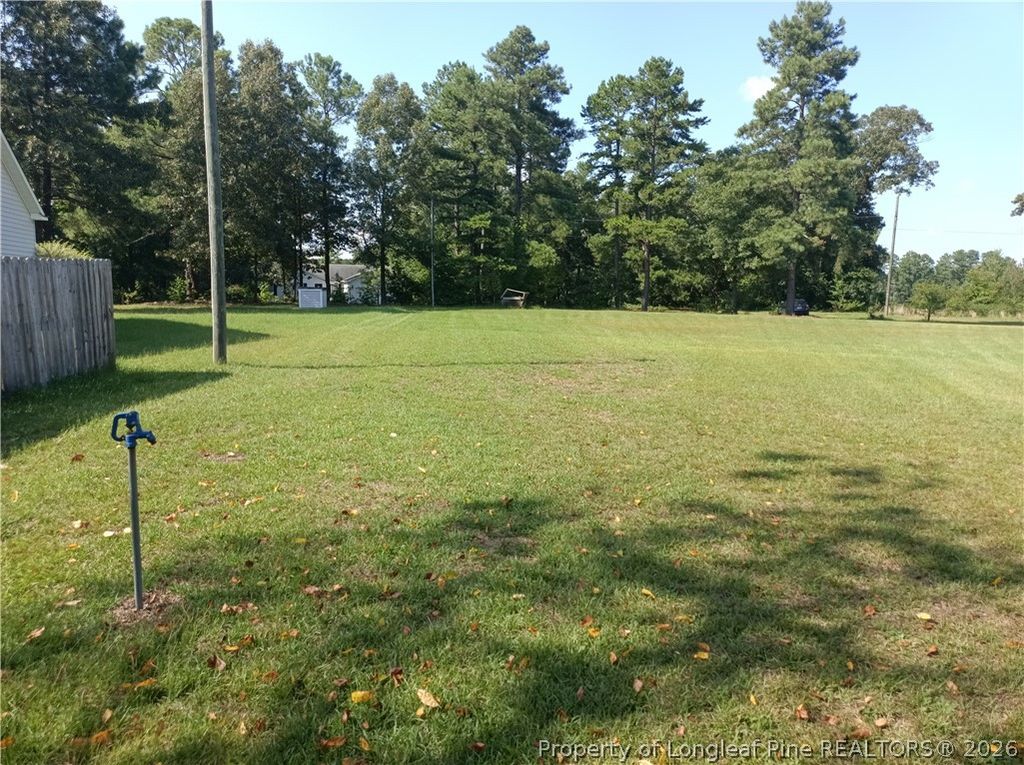 112 Lakeview Drive, Red Springs, NC 28377 — photo 4