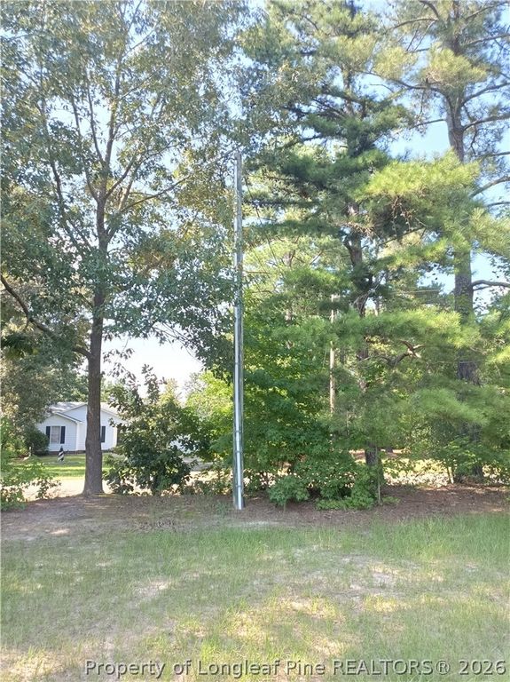 112 Lakeview Drive, Red Springs, NC 28377 — photo 5