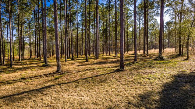TBD Rolling Pines Drive, Livingston, TX 77351