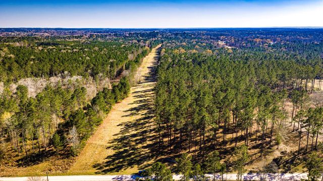 TBD Rolling Pines Drive, Livingston, TX 77351