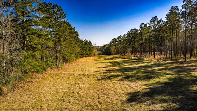 TBD Rolling Pines Drive, Livingston, TX 77351