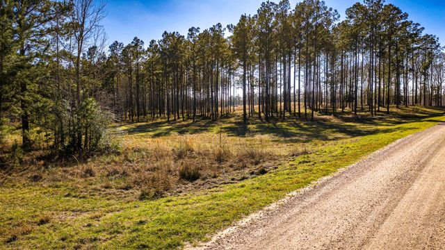 TBD Rolling Pines Drive, Livingston, TX 77351