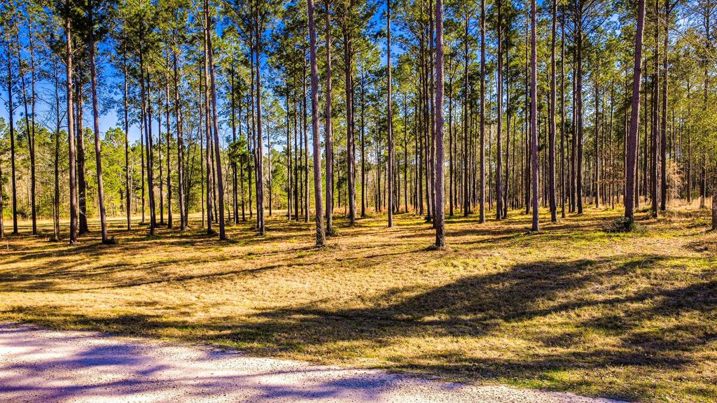 TBD Rolling Pines Drive, Livingston, TX 77351