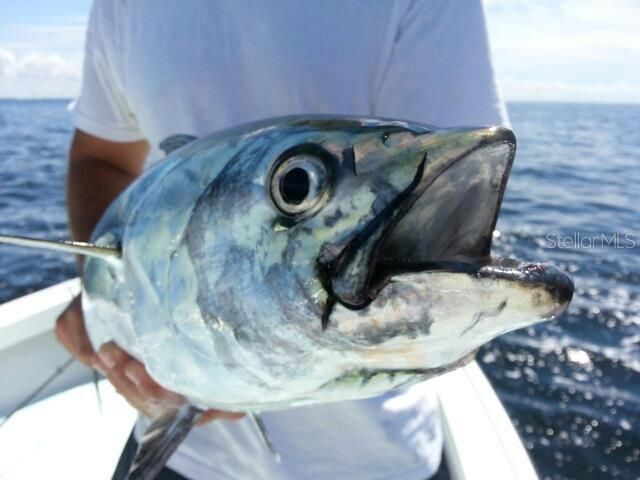 1735 LORALIN DRIVE, Englewood, FL 34223