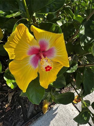 1735 LORALIN DRIVE, Englewood, FL 34223