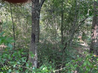tbd Hoda Drive, Conroe, TX 77318