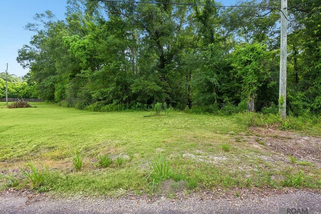 12226 and 12246 Peter Bourgeois Rd, St Amant, LA 70774