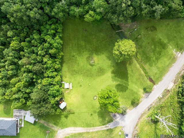 12226 and 12246 Peter Bourgeois Rd, St Amant, LA 70774