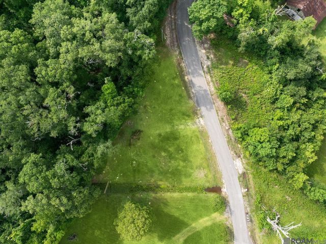 12226 and 12246 Peter Bourgeois Rd, St Amant, LA 70774
