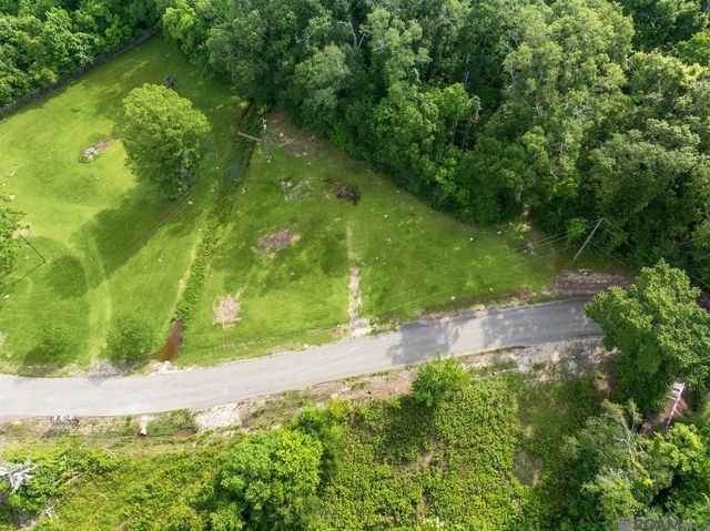 12226 and 12246 Peter Bourgeois Rd, St Amant, LA 70774