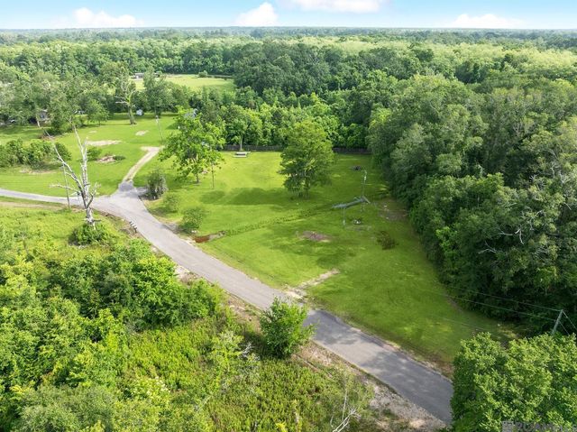 12226 and 12246 Peter Bourgeois Rd, St Amant, LA 70774